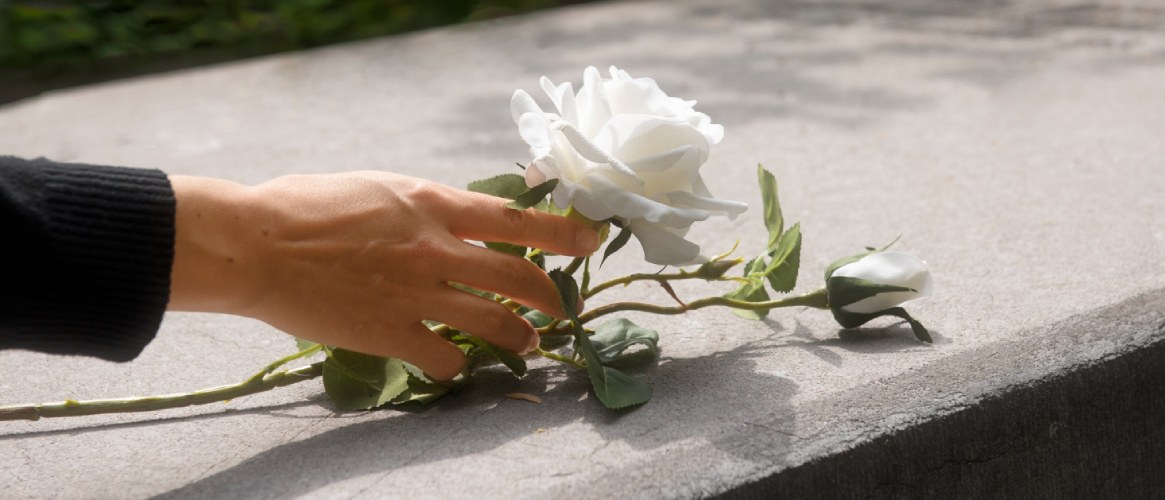 Rosa blanca en una tumba de piedra y mano dejándola