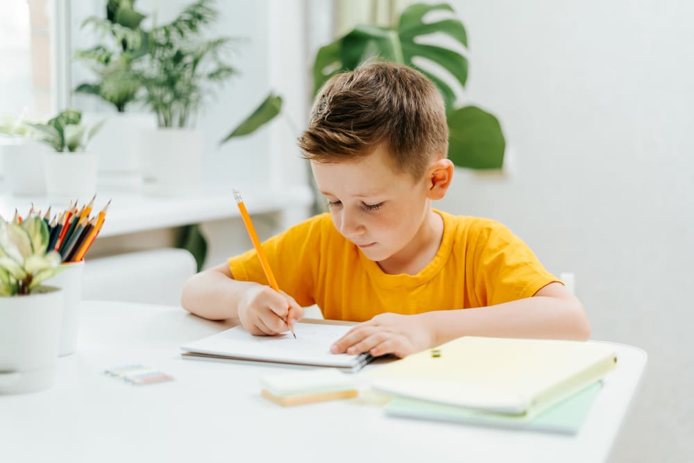 Niño con un lápiz en la mano escribiendo en una libreta concentrado.